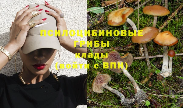 соль курить ск Наволоки