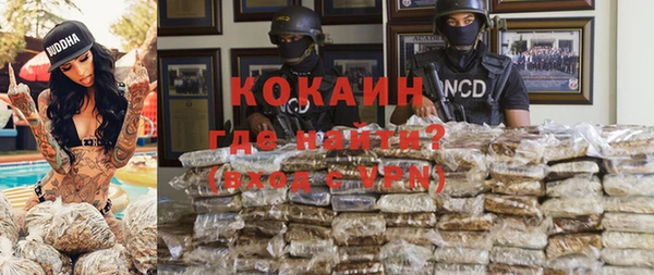 ГАЛЛЮЦИНОГЕННЫЕ ГРИБЫ Аркадак