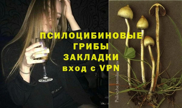 ГАЛЛЮЦИНОГЕННЫЕ ГРИБЫ Аркадак
