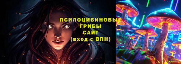 ГАЛЛЮЦИНОГЕННЫЕ ГРИБЫ Аркадак