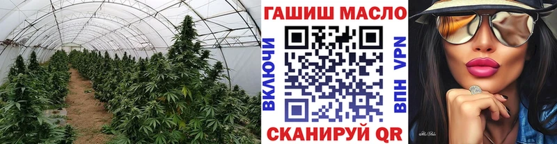 ТГК гашишное масло  Мещовск 